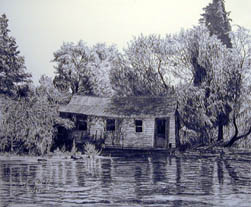 Louisiana Swamp Shack